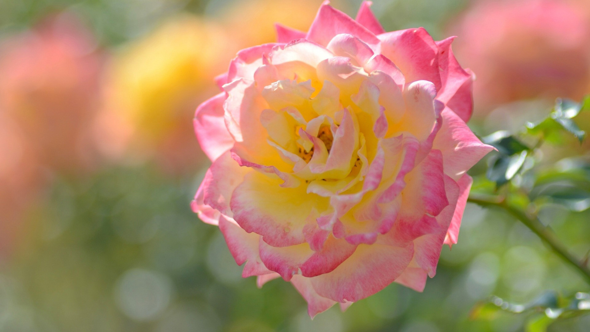 快手文案高質量短句搞笑 很搞笑發快手的文案